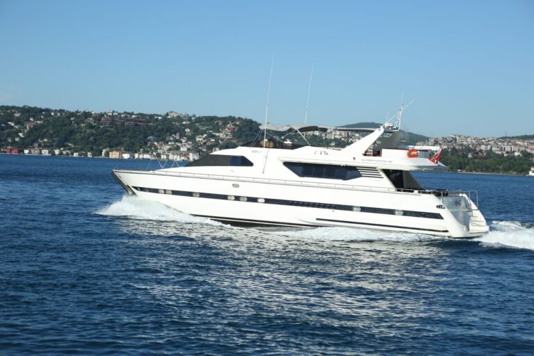 Private Bosphorus Cruise Guided Tour
