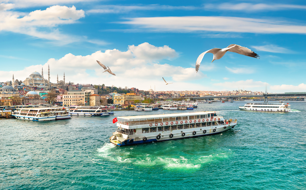 Ferry boats sailing on a waterway with seagulls flying and a cityscape in the background.
