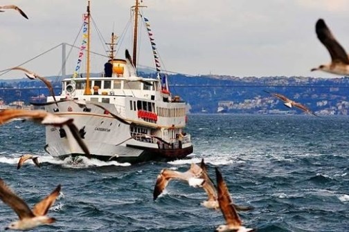 Bosphorus Cruise and Beylerbeyi Palace Image