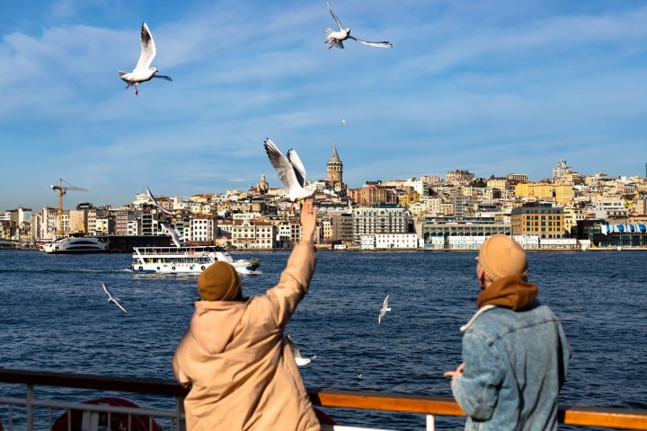 a group of people looking at a bird flying over a body of water